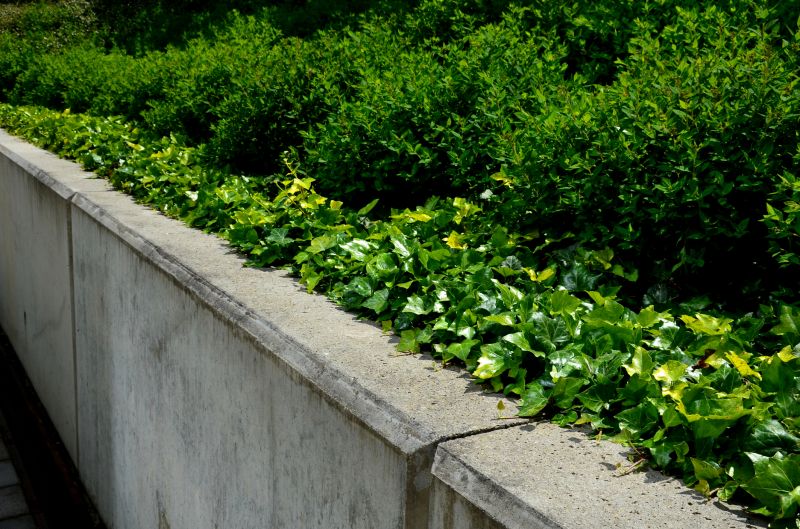 How Decorative Concrete Walls Improve Property Value