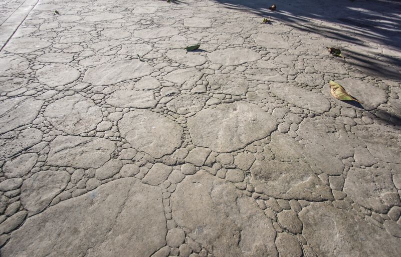 Decorative Concrete Repair in North Fort Myers, FL